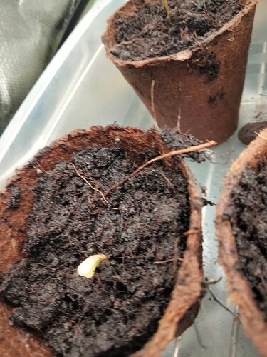 Growreport Bild 8