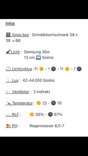 Growreport Bild 3