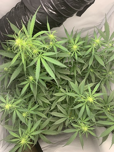 Growreport Bild 10
