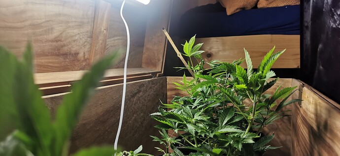 Growreport Bild 27