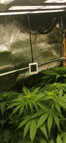 Growreport Bild 4