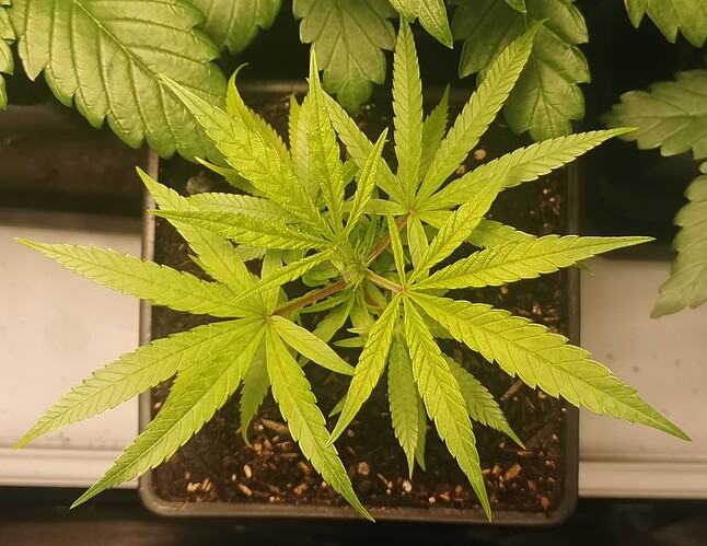 Growreport Bild 4