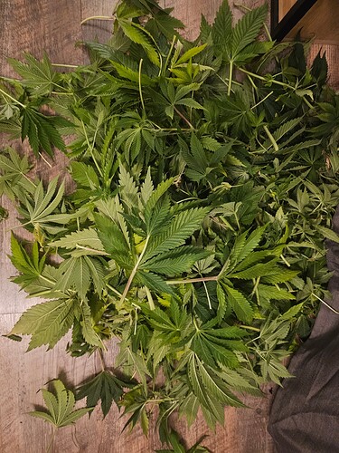 Growreport Bild 5