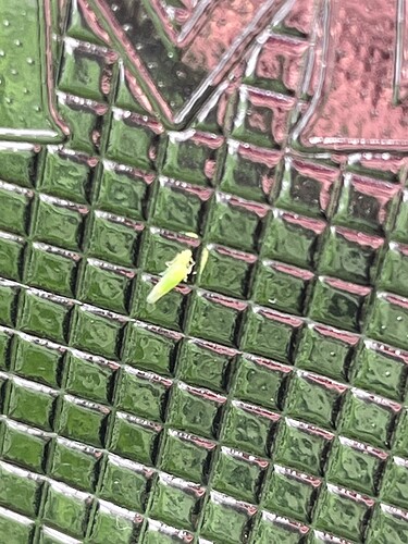 Growreport Bild 2