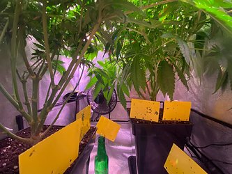 Growreport Bild 7