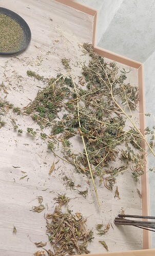 Growreport Bild 6