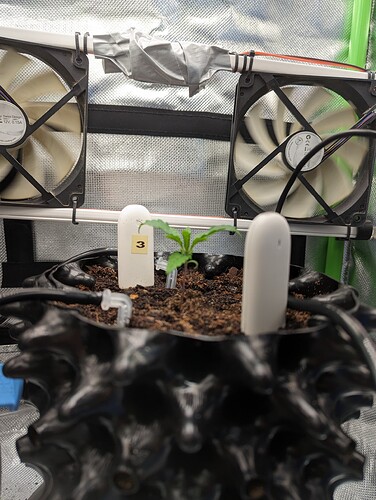 Growreport Bild 1