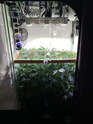 Growreport Bild 3