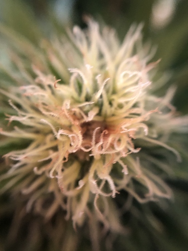 Growreport Bild 45