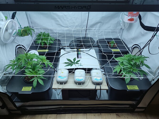 Growreport Bild 24