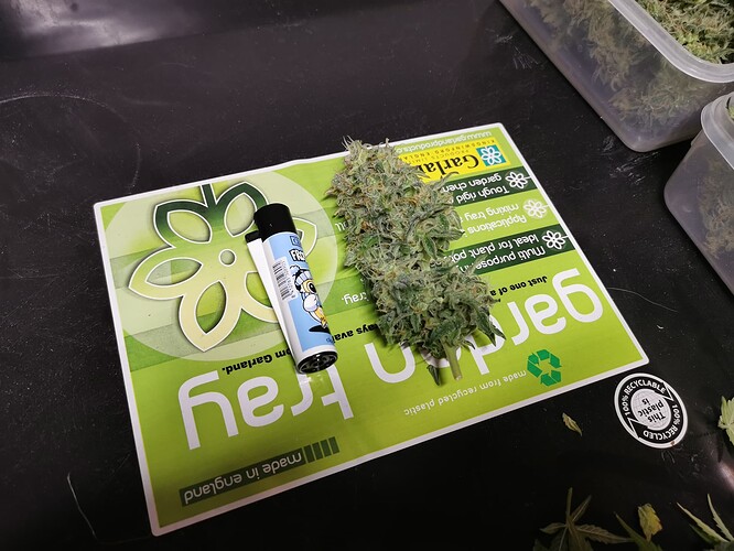 Growreport Bild 4