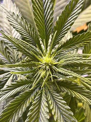 Growreport Bild 3