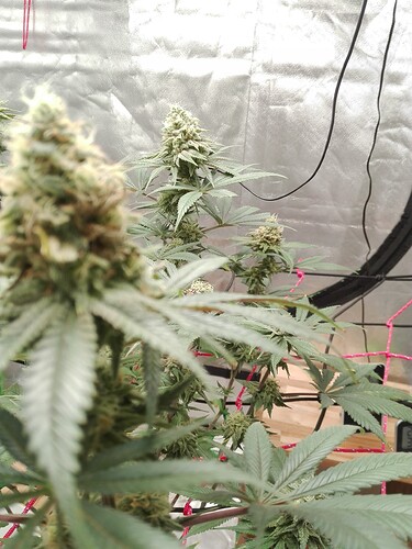 Growreport Bild 14