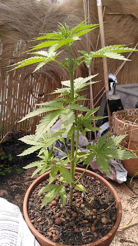 Growreport Bild 6