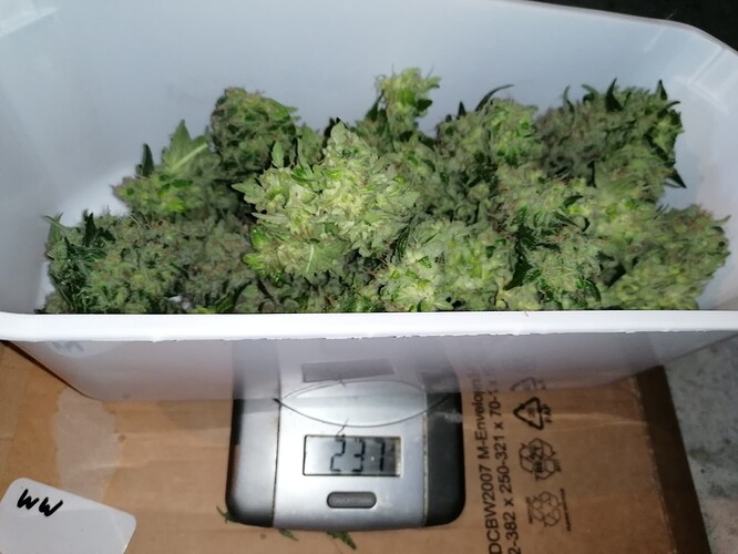 Growreport Bild 15