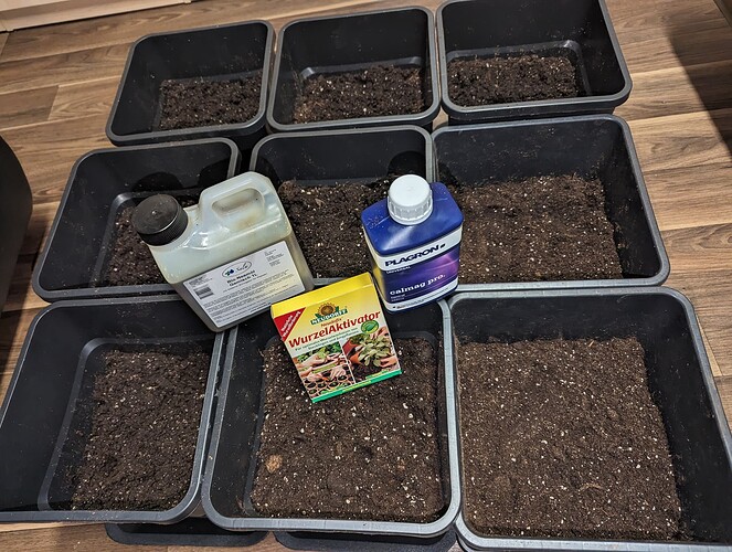 Growreport Bild 2