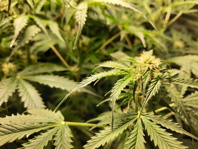 Growreport Bild 4
