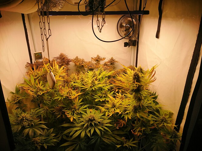 Growreport Bild 2