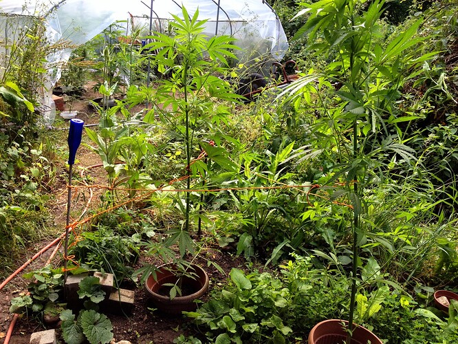 069_SturmwarnungPoly_05