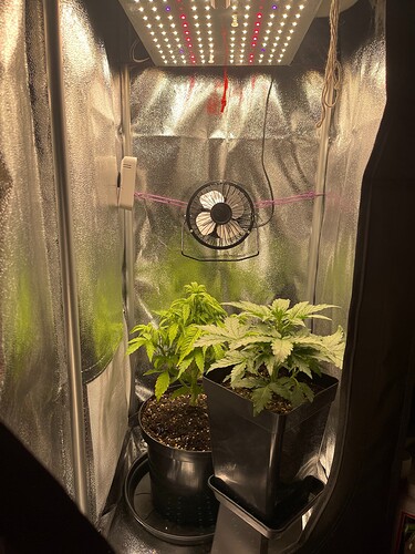 Growreport Bild 11
