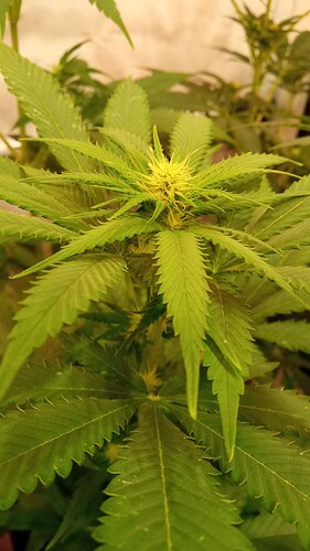 Growreport Bild 10