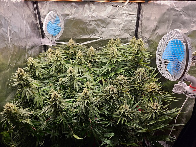 Growreport Bild 21