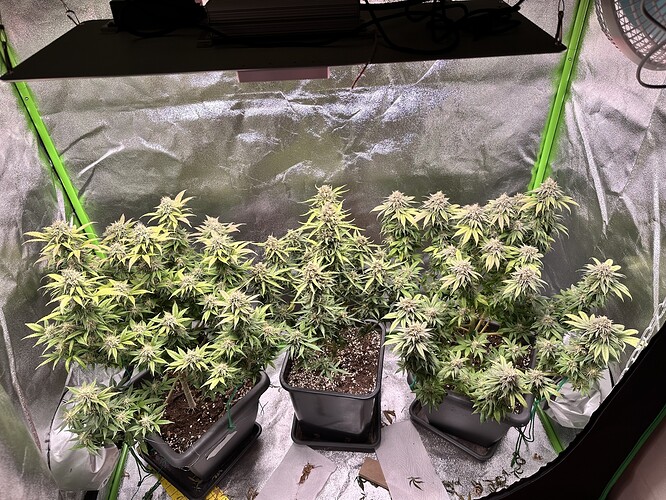 Growreport Bild 11