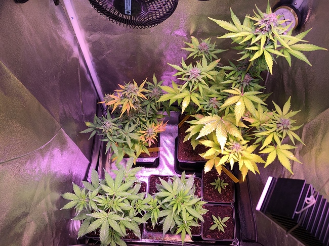 Growreport Bild 16