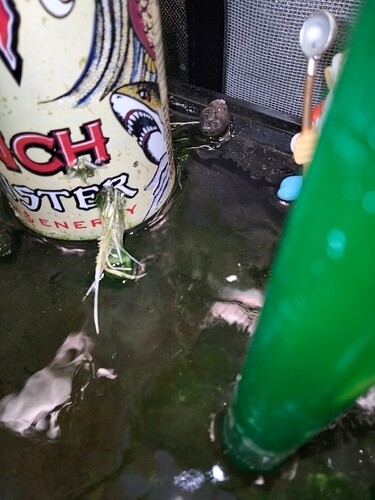 Growreport Bild 8