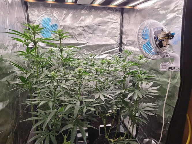 Growreport Bild 9