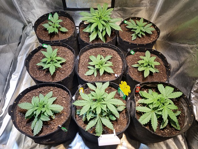 Growreport Bild 7