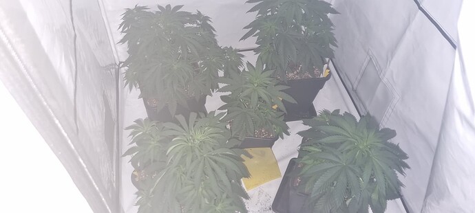 Growreport Bild 22