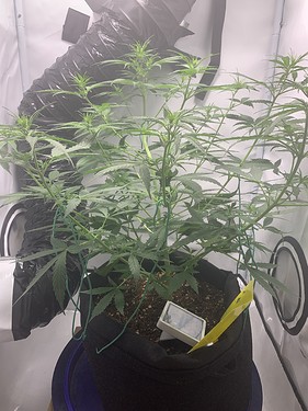 Growreport Bild 12