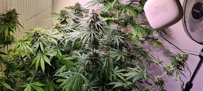 Growreport Bild 9