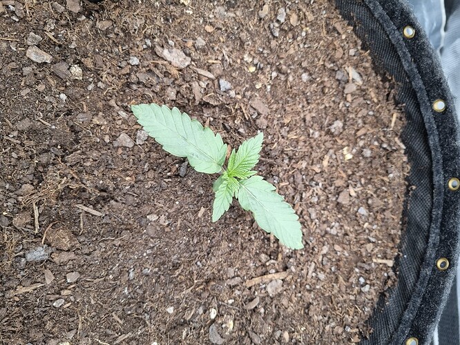 Growreport Bild 24
