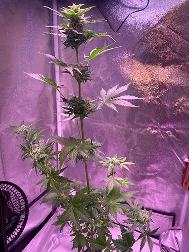 Growreport Bild 18