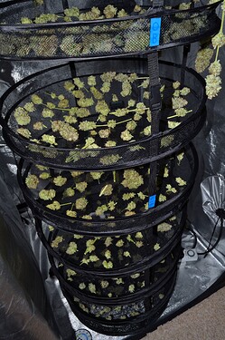 Growreport Bild 2