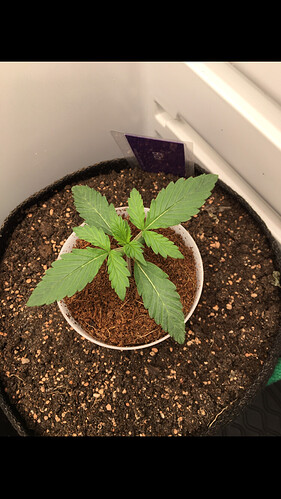 Growreport Bild 17