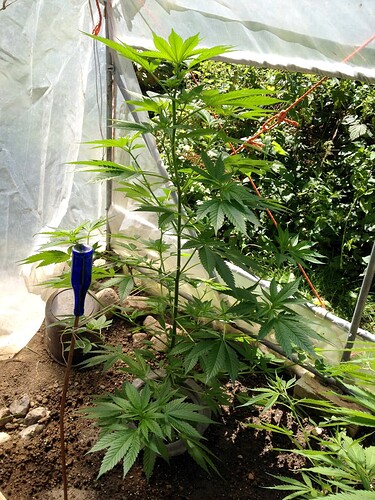 Growreport Bild 10