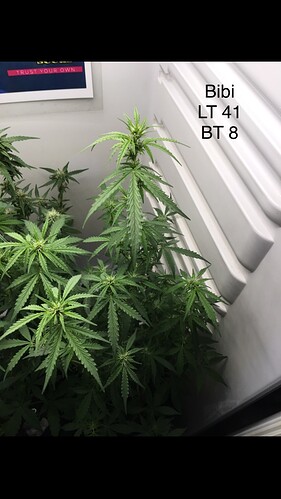 Growreport Bild 9