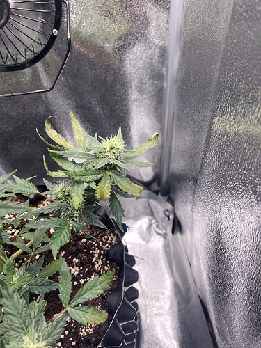 Growreport Bild 8