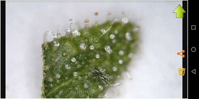 Screenshot_20230607-231539