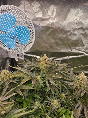 Growreport Bild 36