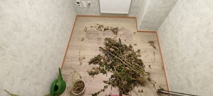Growreport Bild 4