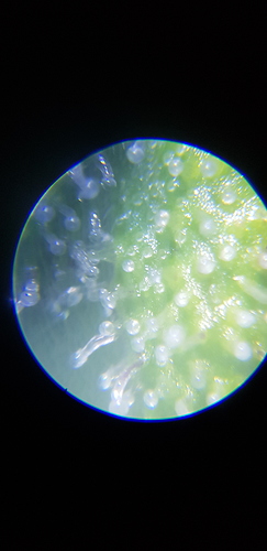 Growreport Bild 13