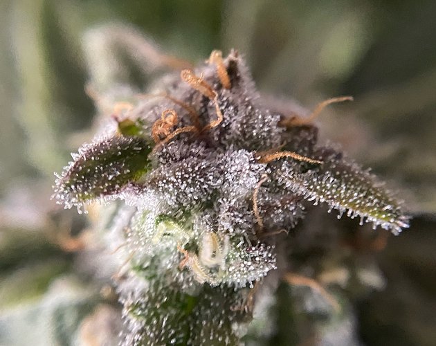 Growreport Bild 23