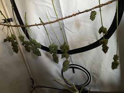 Growreport Bild 4