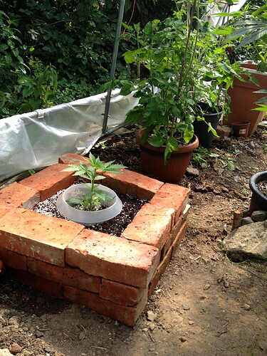 074_FastBudsZeltTag2_02