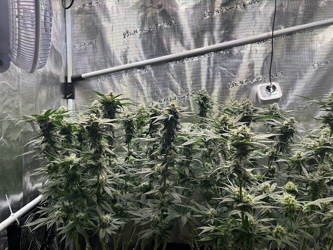 Growreport Bild 10