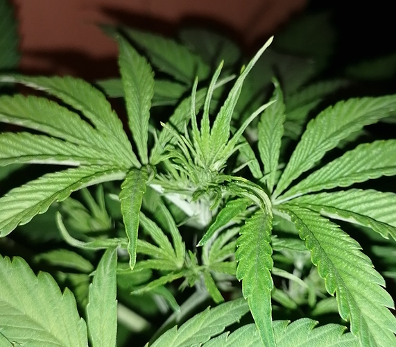 Growreport Bild 4